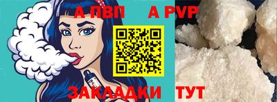 стаф Можга