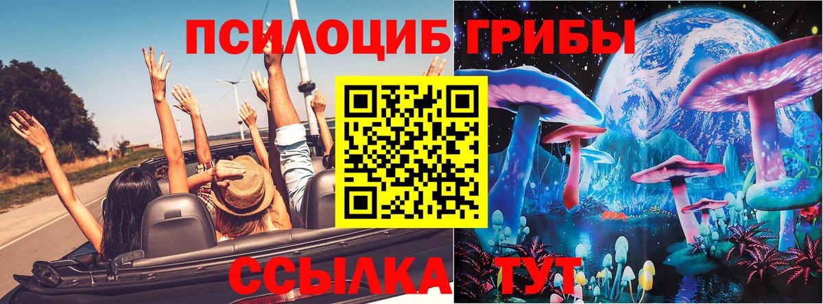 Галлюциногенные грибы Magic Shrooms  Вход с VPN  что такое   Балаково  Галлюциногенные грибы мицелий 